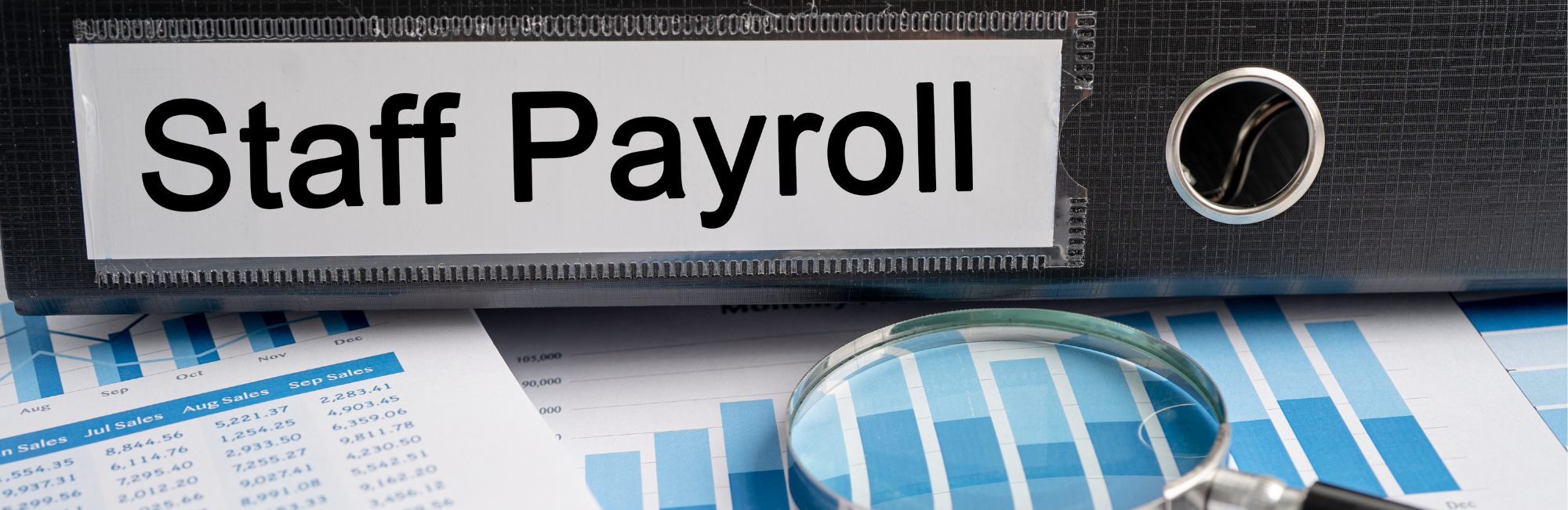 Could Your Business Visa Be at Risk? Signs to Watch For